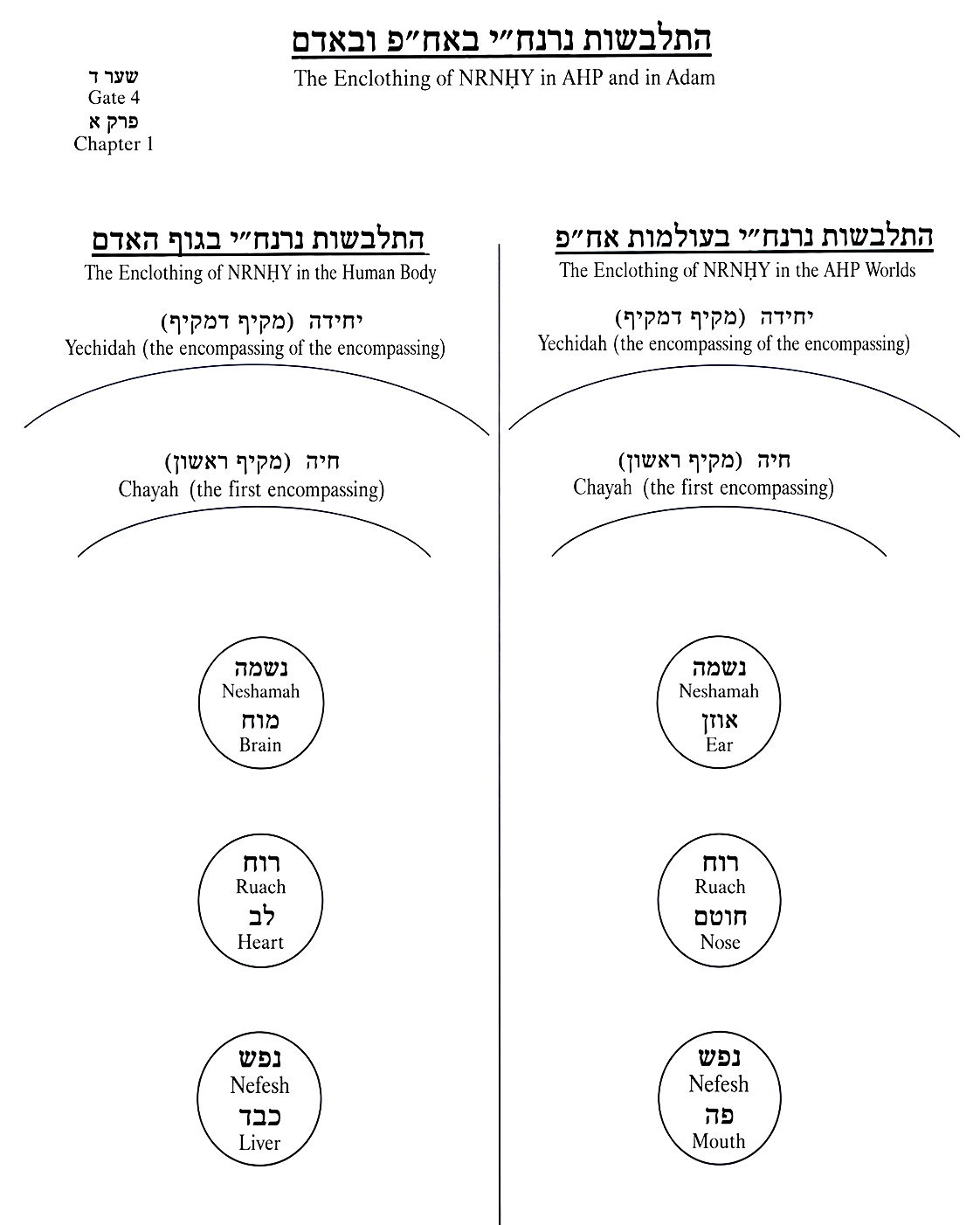 Diagram preserved from the printed manuscript