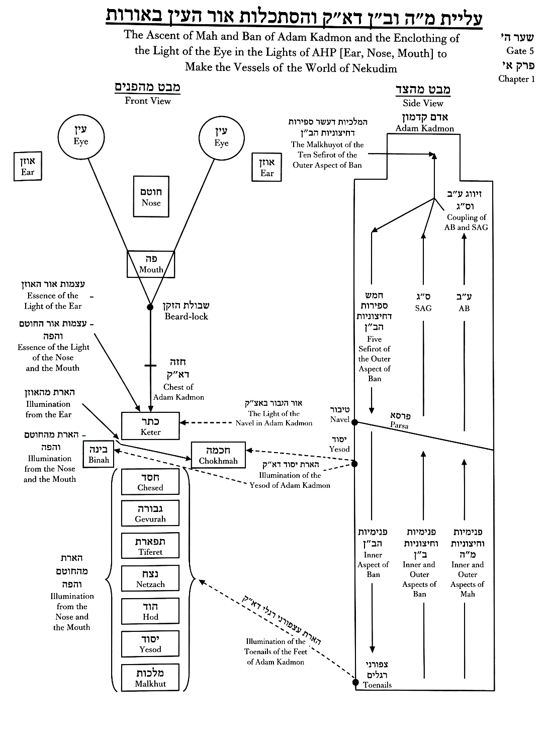Diagram preserved from the printed manuscript