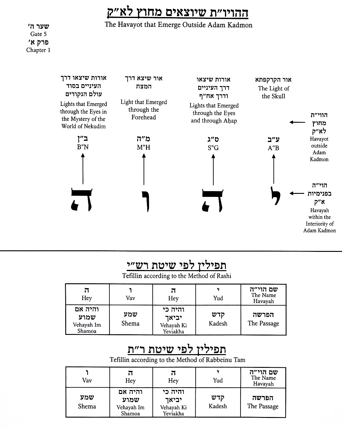 Diagram preserved from the printed manuscript