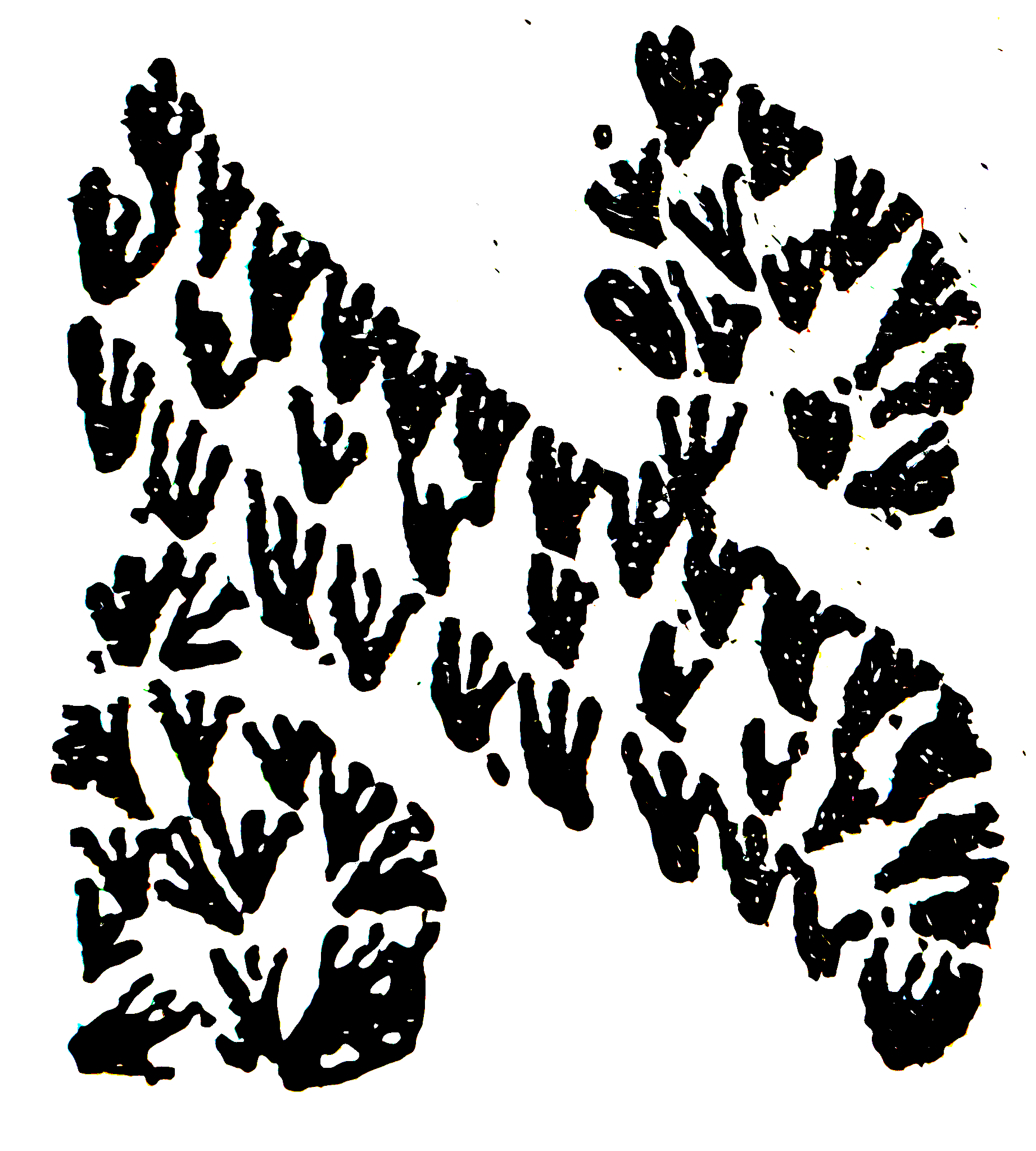 Diagram preserved from the printed manuscript
