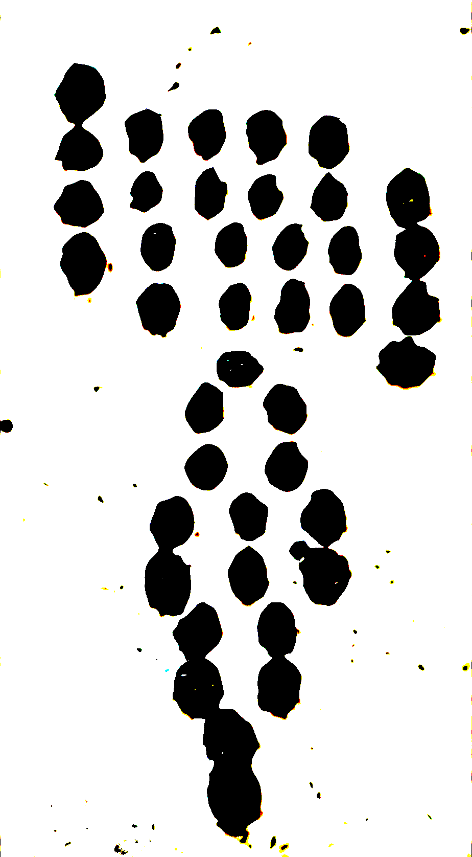 Diagram preserved from the printed manuscript