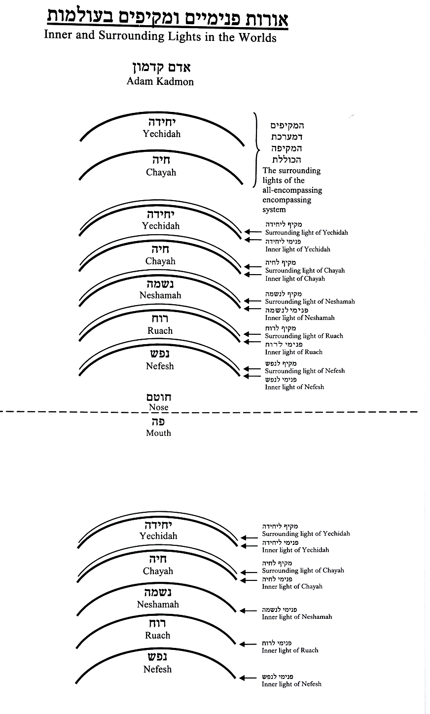 Diagram preserved from the printed manuscript