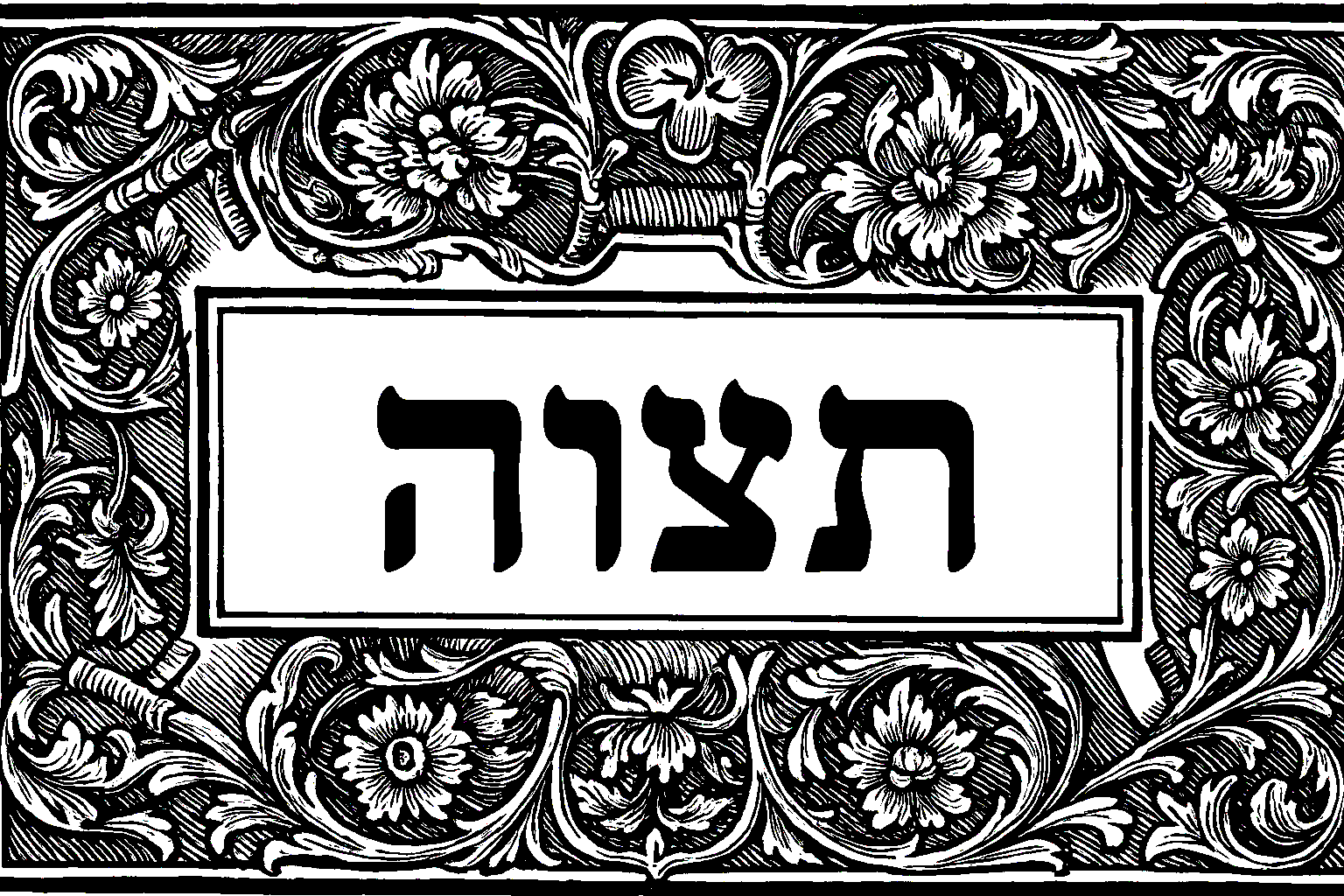Filigree opening preserved from the manuscript
