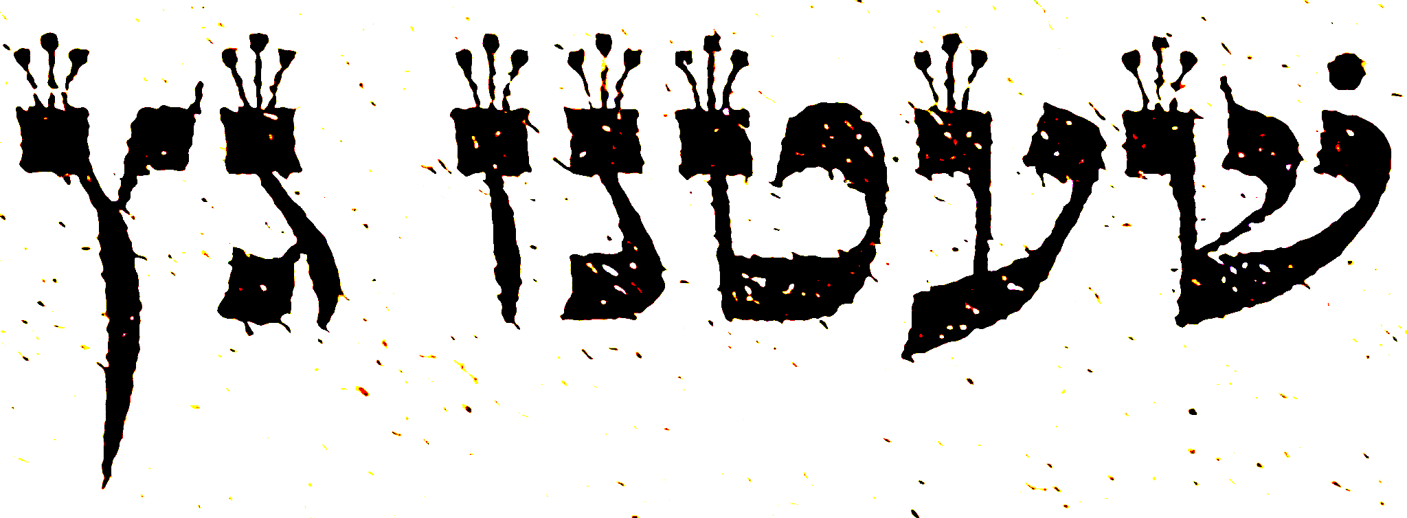 Letter or vowel-point form preserved from the manuscript